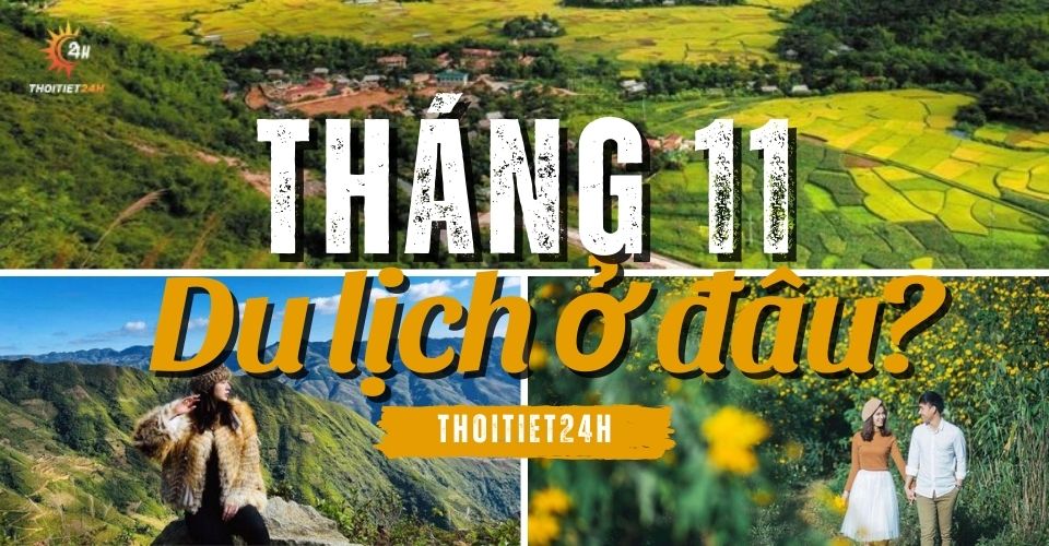 Tháng 11 nên đi du lịch ở đâu? Cảnh sắc 3 miền rực rỡ chào đón bạn!